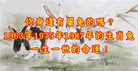 1987年屬什麼生肖|1987年屬兔是什麼命？最全兔命命相批註！